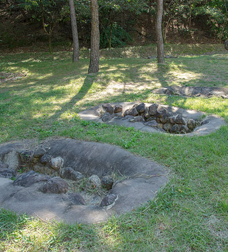 大邱 梨泉洞(舊 大鳳洞 1區) 支石墓